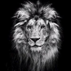 Meet your Posher, Manpreet